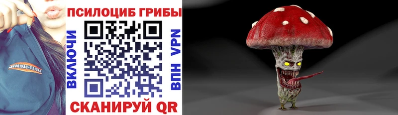 Галлюциногенные грибы ЛСД  Шахунья 