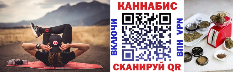 Конопля сатива купить закладку MEGA ONION Шахунья
